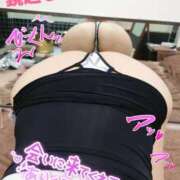 ヒメ日記 2025/06/23 21:08 投稿 こなん CECIL