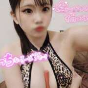 ヒメ日記 2025/10/28 19:46 投稿 こなん CECIL