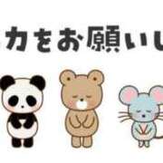 こなん お願いです😢🙏 CECIL