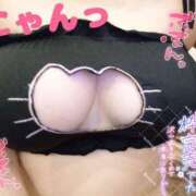 ヒメ日記 2026/02/20 06:55 投稿 こなん CECIL