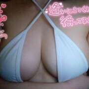 ヒメ日記 2026/04/01 16:57 投稿 こなん CECIL