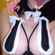 ヒメ日記 2026/04/22 01:44 投稿 こなん CECIL