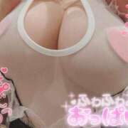 ヒメ日記 2026/04/26 00:00 投稿 こなん CECIL