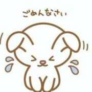 ヒメ日記 2026/08/11 07:40 投稿 こなん CECIL