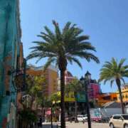 ヒメ日記 2026/02/10 11:33 投稿 エレナ ジャパンクラブ富士