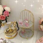 ヒメ日記 2025/01/05 11:00 投稿 秋川 モアグループ大宮人妻花壇