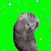 ヒメ日記 2025/02/22 05:48 投稿 秋川 モアグループ大宮人妻花壇