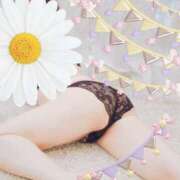 ヒメ日記 2024/12/21 11:19 投稿 鎌倉 美玲 こあくまな人妻・熟女たち横浜店(KOAKUMAグループ)