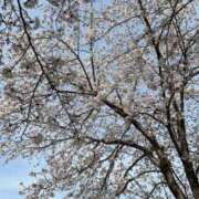 ヒメ日記 2026/03/29 19:02 投稿 はるみ 尼妻（あまづま）