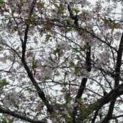 はるみ 休日ですが。 尼妻（あまづま）