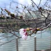 ヒメ日記 2026/03/24 07:16 投稿 なお 奥様の実話 梅田店