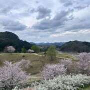 ヒメ日記 2026/04/15 08:23 投稿 なお 奥様の実話 梅田店