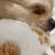 ヒメ日記 2025/08/22 14:31 投稿 しずく 松戸角海老根本店