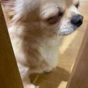 ヒメ日記 2025/09/30 03:31 投稿 しずく 松戸角海老根本店