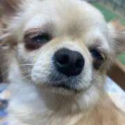 ヒメ日記 2025/11/17 21:41 投稿 しずく 松戸角海老根本店