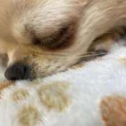 ヒメ日記 2025/12/06 22:22 投稿 しずく 松戸角海老根本店