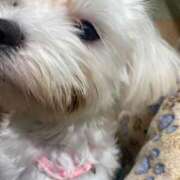 ヒメ日記 2025/12/17 23:11 投稿 しずく 松戸角海老根本店