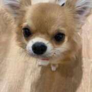 ヒメ日記 2025/12/20 01:01 投稿 しずく 松戸角海老根本店