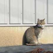 ヒメ日記 2025/12/22 15:21 投稿 しずく 松戸角海老根本店