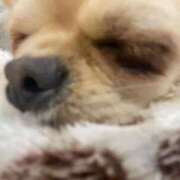 ヒメ日記 2026/01/14 21:51 投稿 しずく 松戸角海老根本店