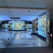 ヒメ日記 2025/05/17 09:50 投稿 さおり One More奥様　町田相模原店