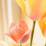 ヒメ日記 2025/11/01 09:10 投稿 さおり One More奥様　町田相模原店