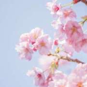 さおり 出勤です🎶 One More奥様　町田相模原店