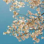 さおり 出勤です✨ One More奥様　町田相模原店