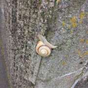 ヒメ日記 2025/06/21 14:05 投稿 ゆり 宮崎ちゃんこ都城店