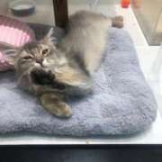 ヒメ日記 2025/04/07 14:02 投稿 あくあ 人妻㊙︎倶楽部