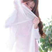 ヒメ日記 2025/07/06 00:32 投稿 ハナ OLの品格 クラブアッシュ