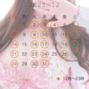 ヒメ日記 2025/11/29 09:00 投稿 ハナ OLの品格 クラブアッシュ