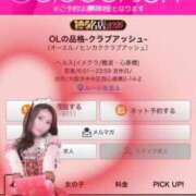 ハナ もう見つけてくれた？ OLの品格 クラブアッシュ