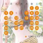 ヒメ日記 2026/04/30 10:03 投稿 ハナ OLの品格 クラブアッシュ