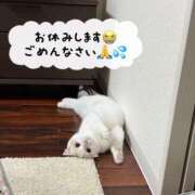 ヒメ日記 2026/09/01 10:30 投稿 ハナ OLの品格 クラブアッシュ