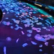 ヒメ日記 2025/05/06 23:02 投稿 みらい カワサキEROTIC（ソープランド）