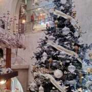 ヒメ日記 2025/11/21 22:34 投稿 みらい カワサキEROTIC（ソープランド）