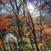 ヒメ日記 2026/02/24 08:06 投稿 みらい カワサキEROTIC（ソープランド）