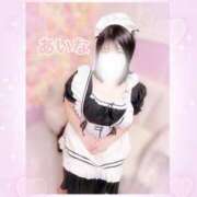 ヒメ日記 2025/06/14 14:47 投稿 【新人】あいな 神奈川小田原ちゃんこ