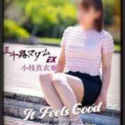 ヒメ日記 2024/12/16 04:40 投稿 小枝真衣亜 五十路マダムエクスプレス豊橋店（カサブランカグループ）