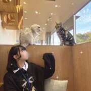 ヒメ日記 2025/04/12 18:42 投稿 きあら 白い巨乳