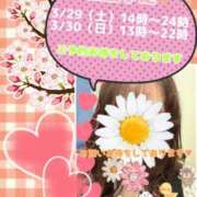 ヒメ日記 2025/03/26 18:52 投稿 浜辺陽香 五十路マダム　和歌山店