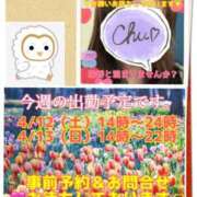 ヒメ日記 2025/04/11 17:58 投稿 浜辺陽香 五十路マダム　和歌山店