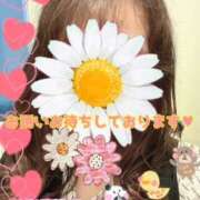 ヒメ日記 2025/04/13 00:38 投稿 浜辺陽香 五十路マダム　和歌山店