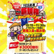 ヒメ日記 2025/11/01 20:12 投稿 海野みな YESグループ水戸　華女