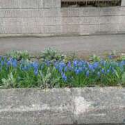 ヒメ日記 2025/04/28 00:55 投稿 みやこ 完熟ばなな札幌・すすきの