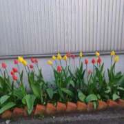 ヒメ日記 2025/05/08 08:49 投稿 みやこ 完熟ばなな札幌・すすきの