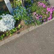 ヒメ日記 2025/05/09 15:39 投稿 みやこ 完熟ばなな札幌・すすきの