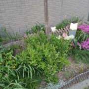 ヒメ日記 2025/05/19 18:25 投稿 みやこ 完熟ばなな札幌・すすきの