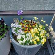 ヒメ日記 2025/05/20 17:59 投稿 みやこ 完熟ばなな札幌・すすきの